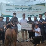 Sinergitas Terbangun Baik, Ketua DPRD Konut Dan KSO-MTT Salur Sapi Qurban di 4 Kecamatan
