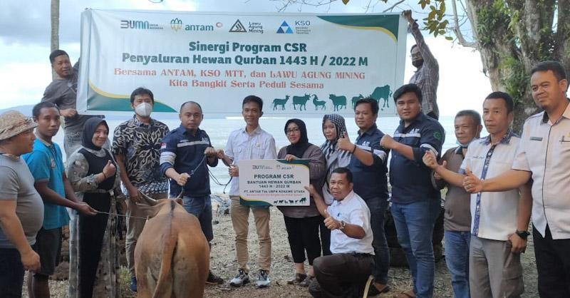PT Antam Konut Bersama KSO-MTT, Berbagi Bantuan 20 Ekor Sapi Qurban