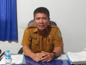 Disnakeswan Konawe Siapkan 800 Ekor Sapi Kurban Untuk Hari Raya Idul Adha 1443 H