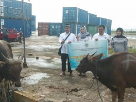 Iduladha 1443 Hijriah, KSOP Kelas II Kendari Berbagi 13 Ekor Hewan Kurban