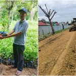 Bagikan Ribuan Bibit Nilam Dan Tingkatkan JUT, Pemdes Asolu Realisasikan Hasil Musdes