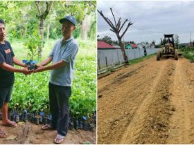 Bagikan Ribuan Bibit Nilam Dan Tingkatkan JUT, Pemdes Asolu Realisasikan Hasil Musdes