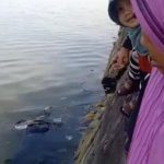 Mayat Perempuan Lansia Ditemukan Terampung di Teluk Kendari