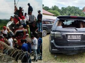 Ricuh Demonstrasi di Koltim, Massa Tebang Pohon Untuk Blokir Jalan