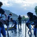 International Mangrove Day, GCC Toli-Toli Tanam 1500 Pohon Mangrove