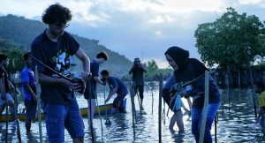 International Mangrove Day, GCC Toli-Toli Tanam 1500 Pohon Mangrove