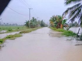 Desa Anggoro Konawe Banjir, Akses Ekonomi Lumpuh dan Siswa SD Terpaksa Diliburkan