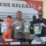 Jadi Pengedar Narkoba Seberat 5,2 Kg, Dua Mahasiswa di Kendari Ditangkap Polisi