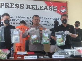 Jadi Pengedar Narkoba Seberat 5,2 Kg, Dua Mahasiswa di Kendari Ditangkap Polisi