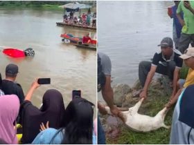 Mobil yang Tenggelam di Sungai Konaweaha Ditemukan, Warga Gelar Ritual Adat Mooli