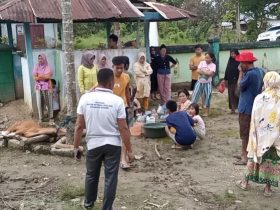 Dugaan Selingkuh Oknum Kades di Konawe Diselesaikan dengan Upacara Tolak Bala "Mosehe"