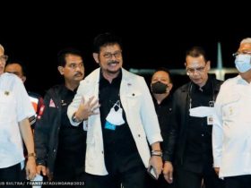 Gubernur Paparkan Potensi Multisektor Sultra di Hadapan Mentan