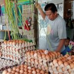 Imbas BBM Naik, Harga Telur di Kendari Merangkak Naik