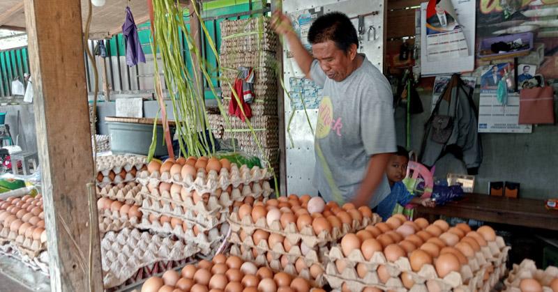 Imbas BBM Naik, Harga Telur di Kendari Merangkak Naik