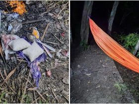 Mendaki Seorang Diri, Mahasiswa STMIK Catur Sakti Hilang di Gunung Popalia Konsel