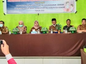 Tekan Angka Stunting, BKKBN Sultra Launching Rumah Sehat di Besulutu