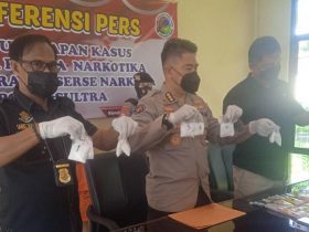 Edarkan Sabu, Seorang IRT di Kota Kendari Dibekuk Polda Sultra