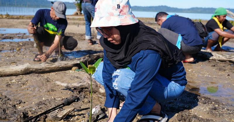 Jaga Kelestarian Teluk Kolono, Zenith SCA Kendari Tanam 1000 Bibit Mangrove