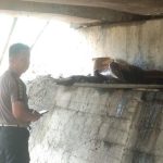 Mayat Pria Ditemukan Warga di Kolong Jembatan Triping, Kapolresta: Meninggal 10 Hari Lalu