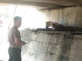 Mayat Pria Ditemukan Warga di Kolong Jembatan Triping, Kapolresta: Meninggal 10 Hari Lalu