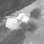 Diduga Frustasi, Seorang Lansia di Kendari Tewas Usai Melompat dari Lantai 3