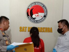 Jadi Pengedar Narkoba, Ibu 2 Anak Diringkus Polresta Kendari