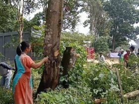 3 Tahun Nikmati Jalan Rusak, Warga Landono Mowila Memblokade Jalan Poros Kendari-Konsel