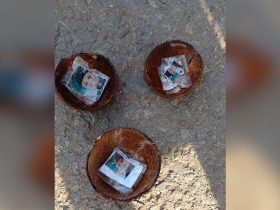 Warga Ghongsume Muna Dikagetkan Penemuan Foto Cakades di Tempurung Kelapa Dalam Tanah