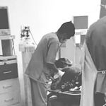 Pesta Miras Berujung Penganiayaan, Seorang Pemuda di Kambu Terluka Parah