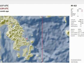 Gempa 4,0 Magnitudo Guncang Soropia Konawe, Akibat Sesar Lawanopo