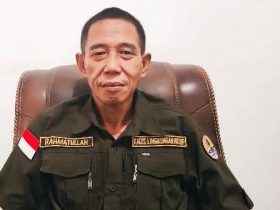 Tak Hanya PT BNN, DLH Konut Juga Hentikan Aktivitas Penambangan Nikel PT Cinta Jaya