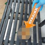 3 Pelajar Menemukan Janin Bayi Laki-laki di Kali Lapulu