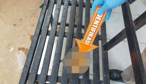 3 Pelajar Menemukan Janin Bayi Laki-laki di Kali Lapulu