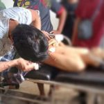 Pemuda Konut Tewas Dianiaya Dua OTK Menggunakan Sajam