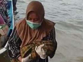 Aksi Heroik Bidan Pesisir Bantu Persalinan Selamatkan Ibu Hamil Diatas Perahu
