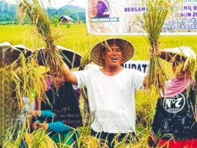 Konut Tempati Urutan Kedua Se-Sultra Produktivitas Komoditi Pangan Utama, Ruksamin: Kesuksesan Kita Selaraskan Program Unggulan Daerah
