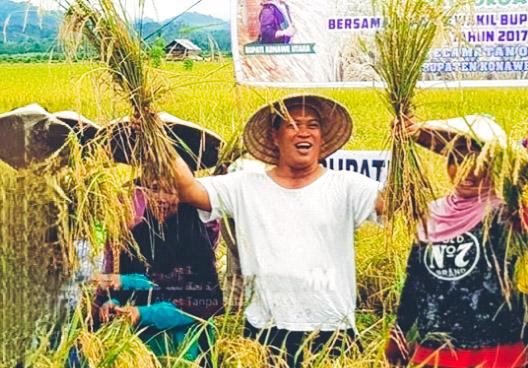 Konut Tempati Urutan Kedua Se-Sultra Produktivitas Komoditi Pangan Utama, Ruksamin: Kesuksesan Kita Selaraskan Program Unggulan Daerah