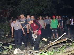 Gerak Cepat Pemkot Kendari Mulai Bersihkan 26 Titik Pohon Tumbang Yang Diterjang Angin