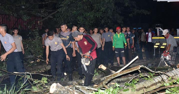 Gerak Cepat Pemkot Kendari Mulai Bersihkan 26 Titik Pohon Tumbang Yang Diterjang Angin