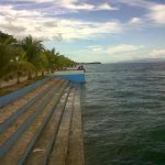 Buaya Muncul di Laut Pelabuhan Raha, BKSDA Sultra Imbau Waspada Beraktivitas di Bypass