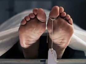 Warga Konsel Tewas Dililit Ular