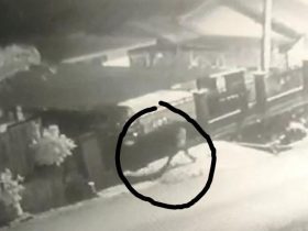 Terekam CCTV, Seorang Maling Nekat Mencuri Leptop Karyawan PT Telkom di Kendari