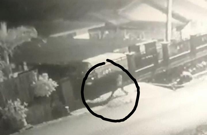 Terekam CCTV, Seorang Maling Nekat Mencuri Leptop Karyawan PT Telkom di Kendari