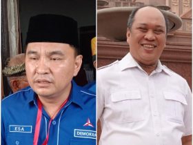 Demokrat Sultra Dukung Ruksamin Maju Pilgub, Endang: Sosok Ruksamin Layak Memimpin Sultra