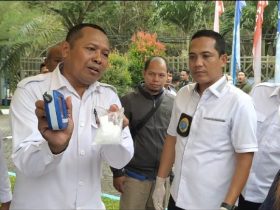 Peringati HANI Tahun 2023, BNNP Sultra Musnahkan BB 1.5 Kg Ganja Dan 409 Gram Sabu