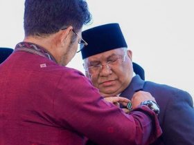 Gubernur Sultra Terima Satyalencana Wira Karya dari Presiden RI Joko Widodo