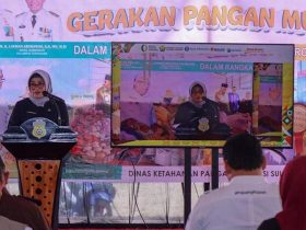 Pemprov Sultra Launching Gerakan Pangan Murah Serentak Nasional