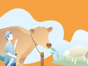 Berikut Ulasan Pengertian Qurban, Syarat Dan Penerima Qurban