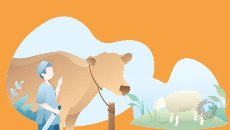 Berikut Ulasan Pengertian Qurban, Syarat Dan Penerima Qurban