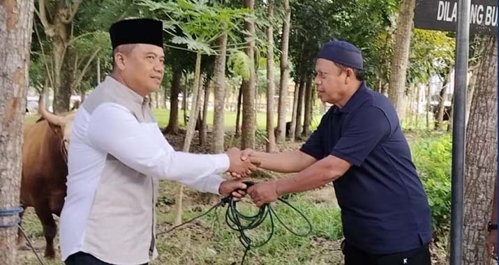 Polda Sultra Sembelih 128 Ekor Sapi Dan 1 Ekor Kambing di Perayaan Idul Adha 1444H